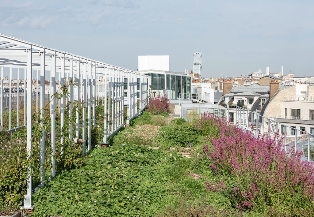 Grand Central Saint-Lazare by Ferrier Marchetti Studio