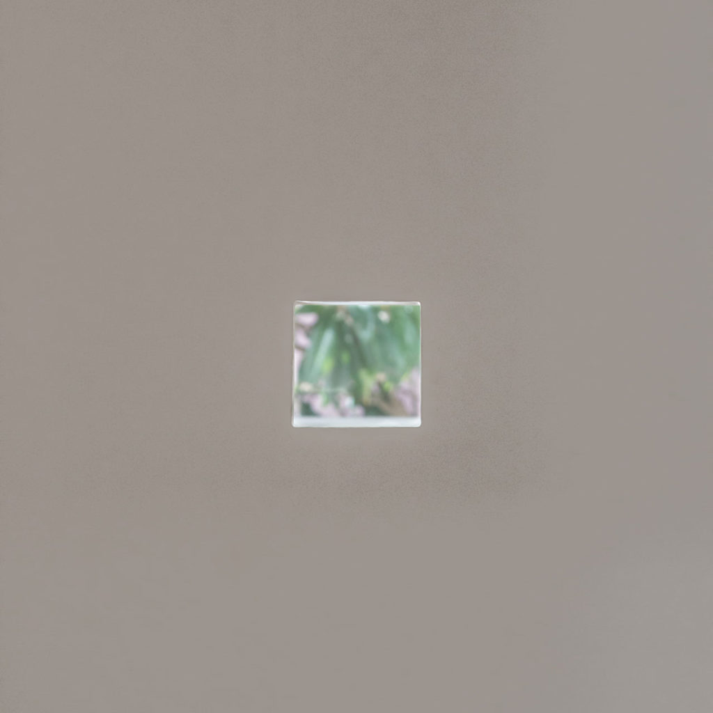 Loquat Tree House by Machado Igreja Architects