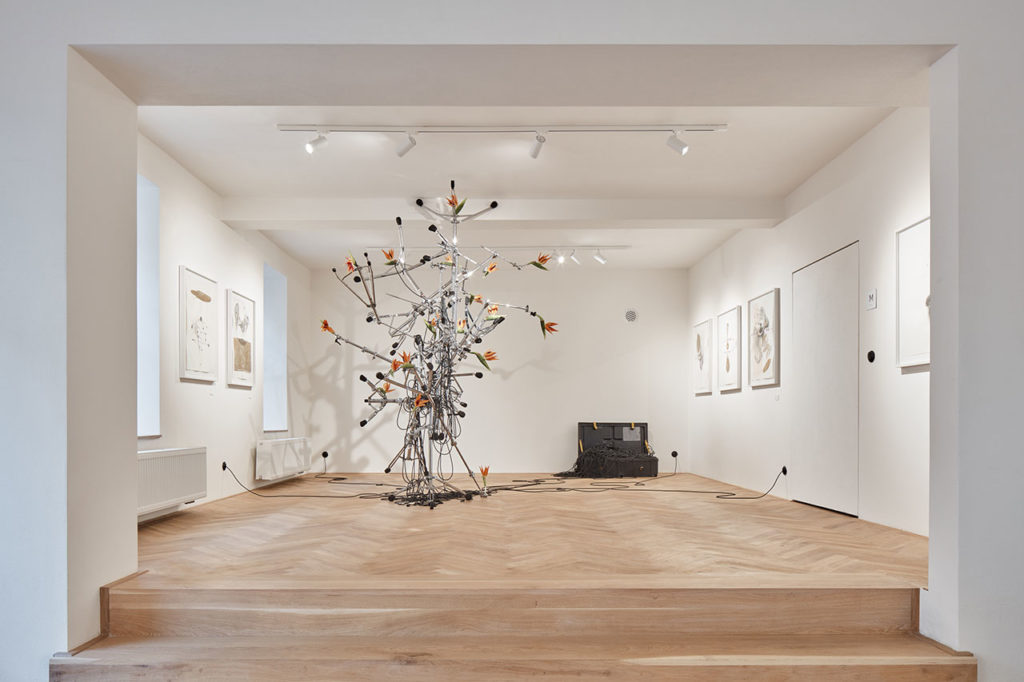 Milan Cais / Živý kabel propojení