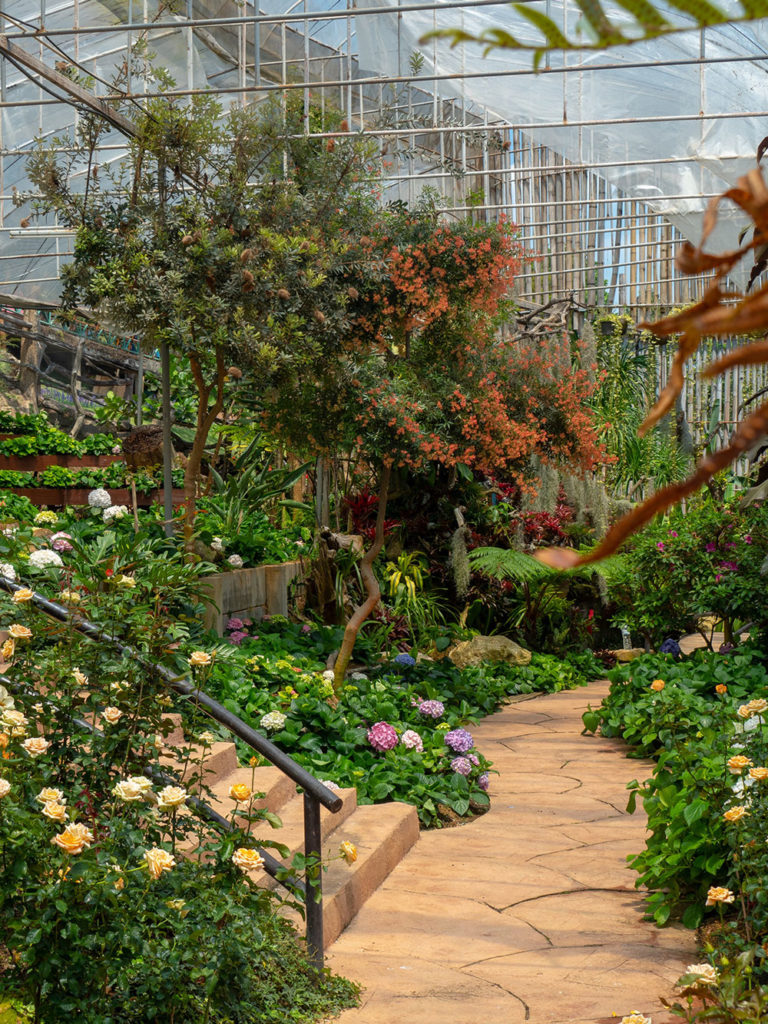 6 Exciting Garden Trends for 2020