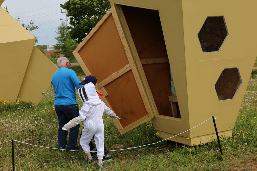 Urban Beehive Project by Nine Yards Studio