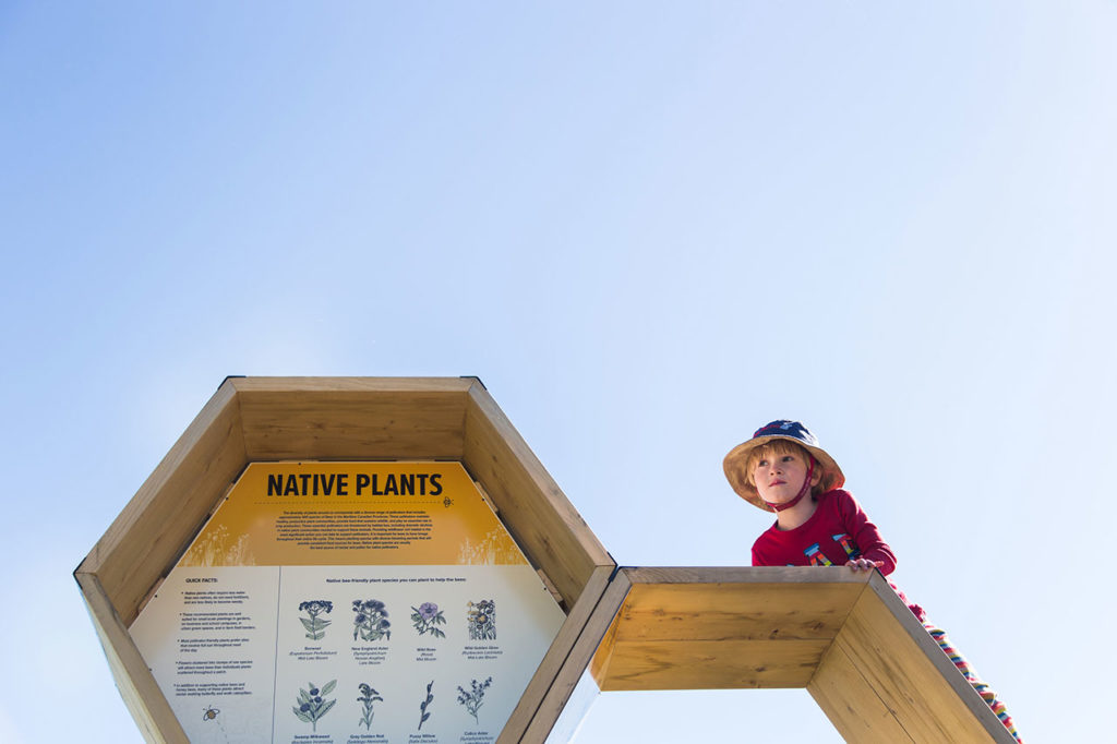 Urban Beehive Project by Nine Yards Studio