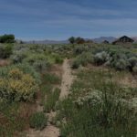 Land Art Generator and Burning Man 2020: Design the Future of Fly Ranch