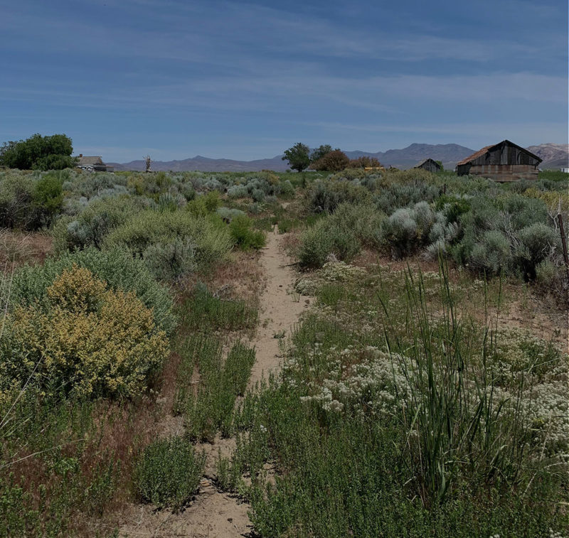 Land Art Generator and Burning Man 2020: Design the Future of Fly Ranch