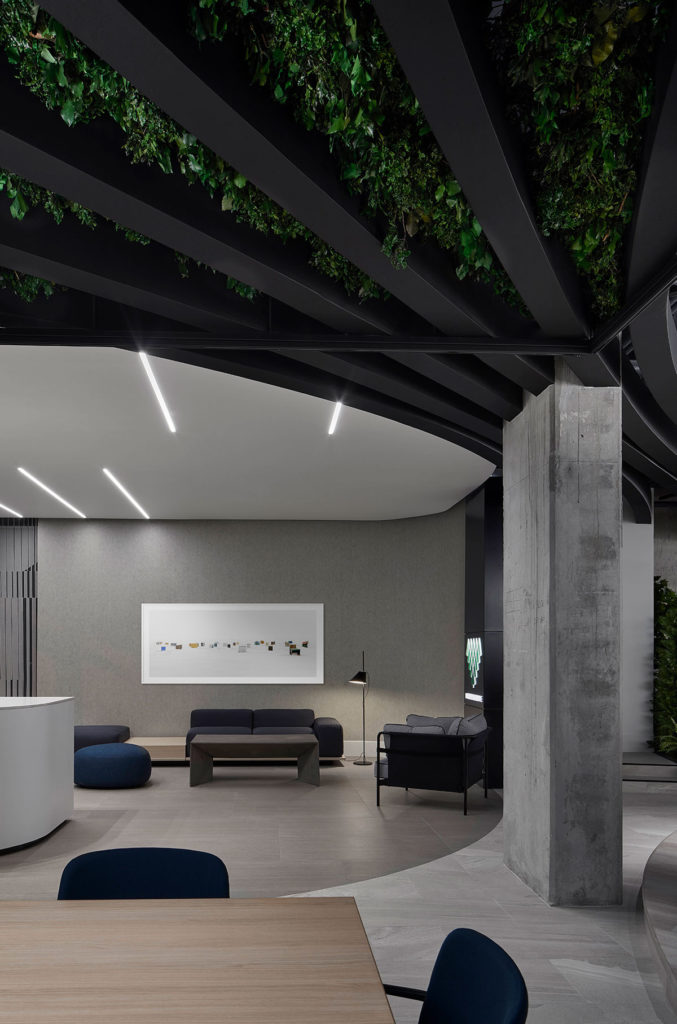 North Drive by Reflect Architecture