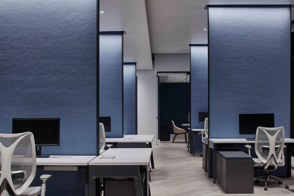 North Drive by Reflect Architecture