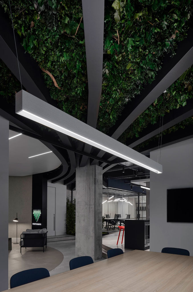 North Drive by Reflect Architecture