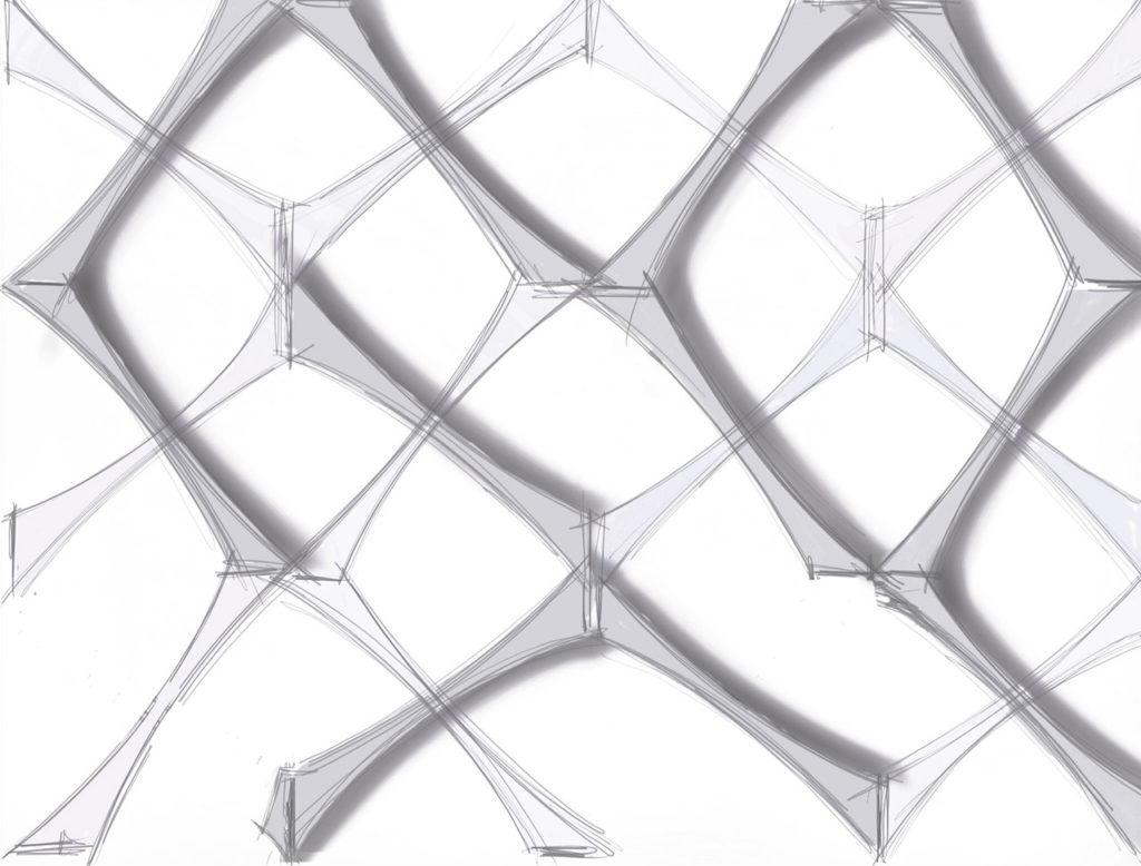 Wishbone (furcula), sketch