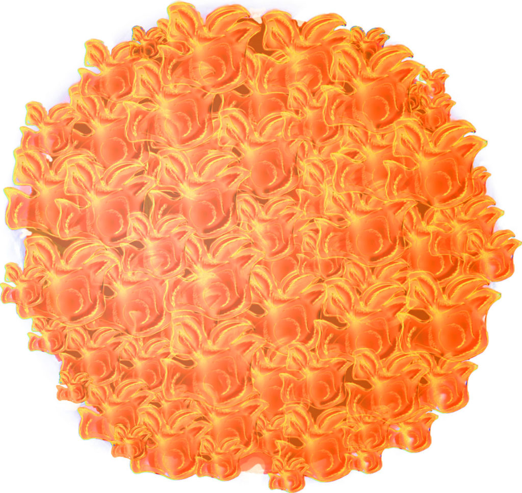 Cempazuchitl flower, drawing for parametric processing