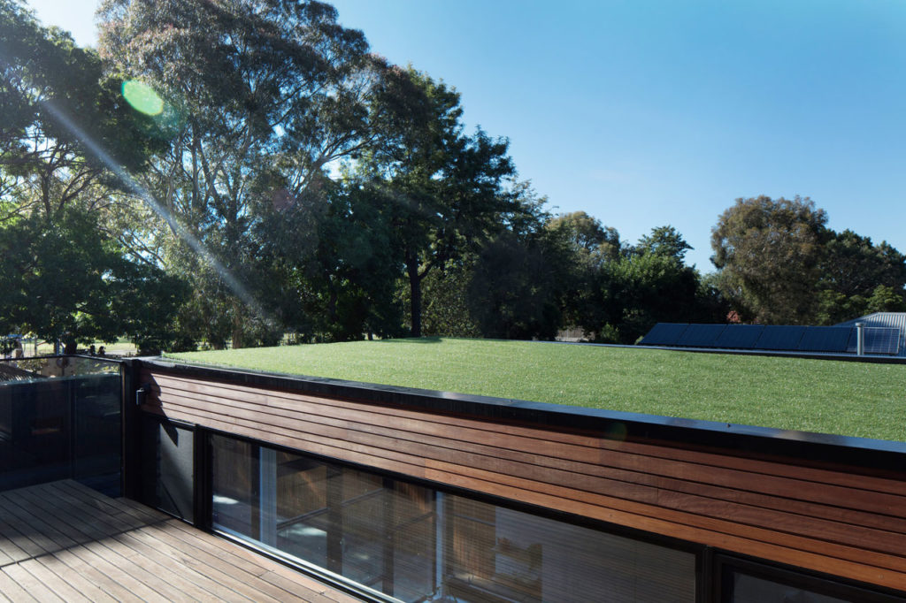 Treetop House by Ben Callery Architects