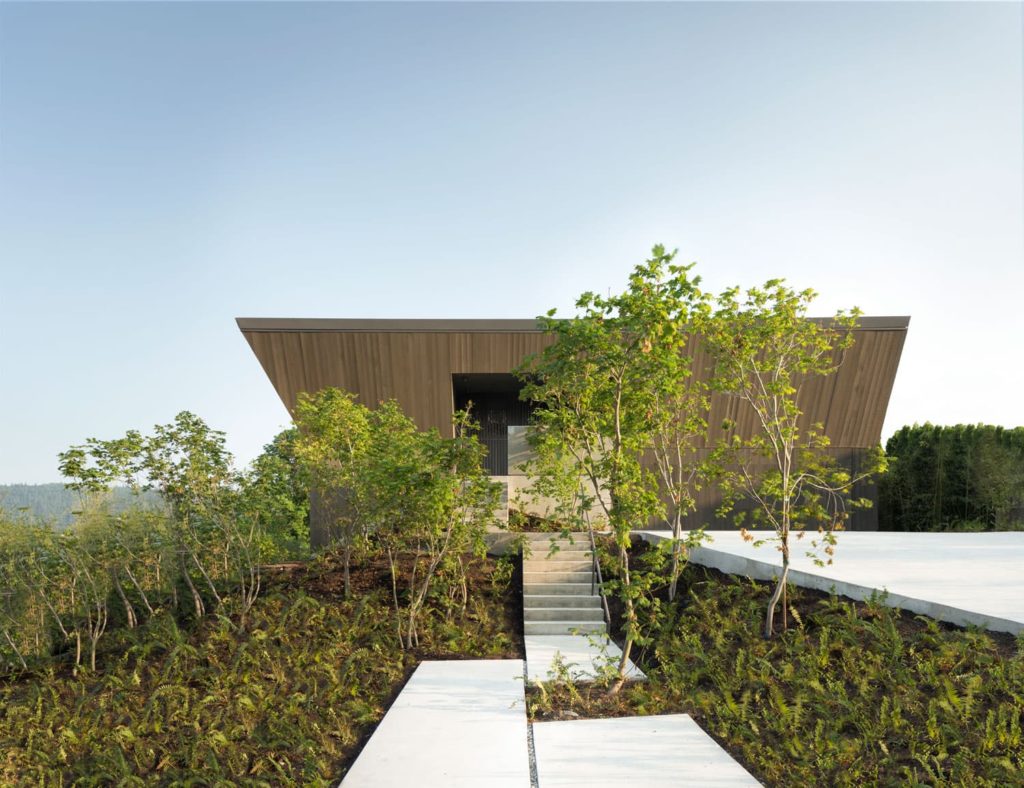 Deep Cove House by D'Arcy Jones Architects