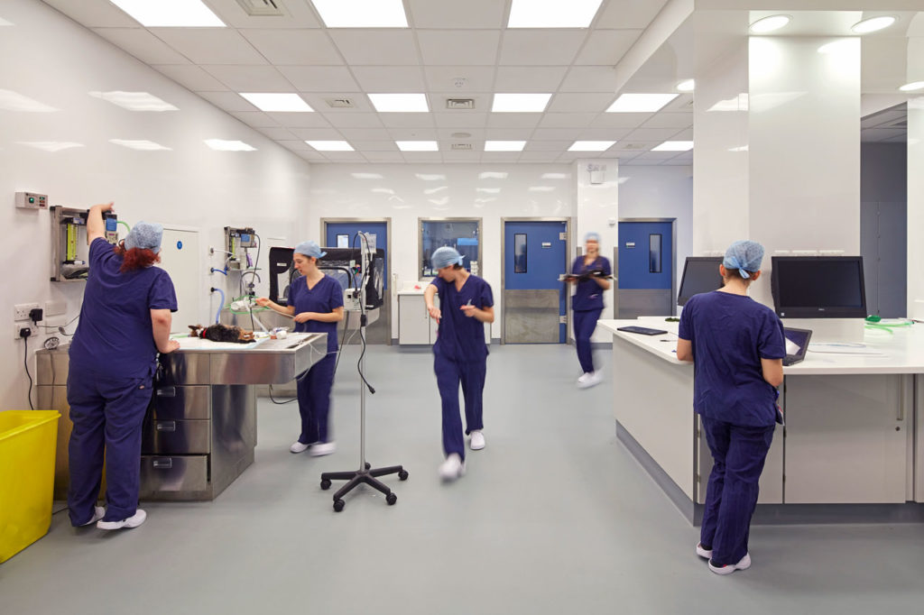 Veterinary Hospital by Jonathan Clark Architects