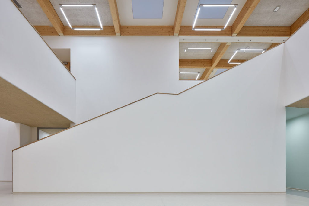 Elementary School Amos by SOA architekti