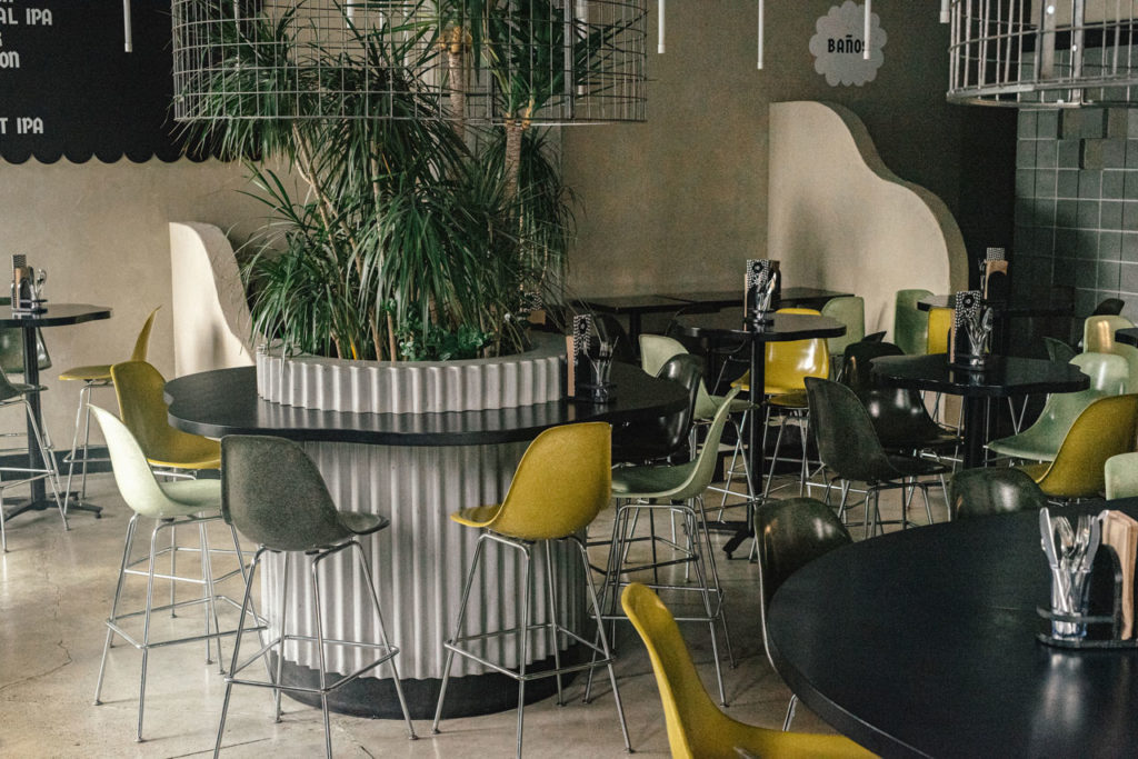 Tacofino Ocho by September