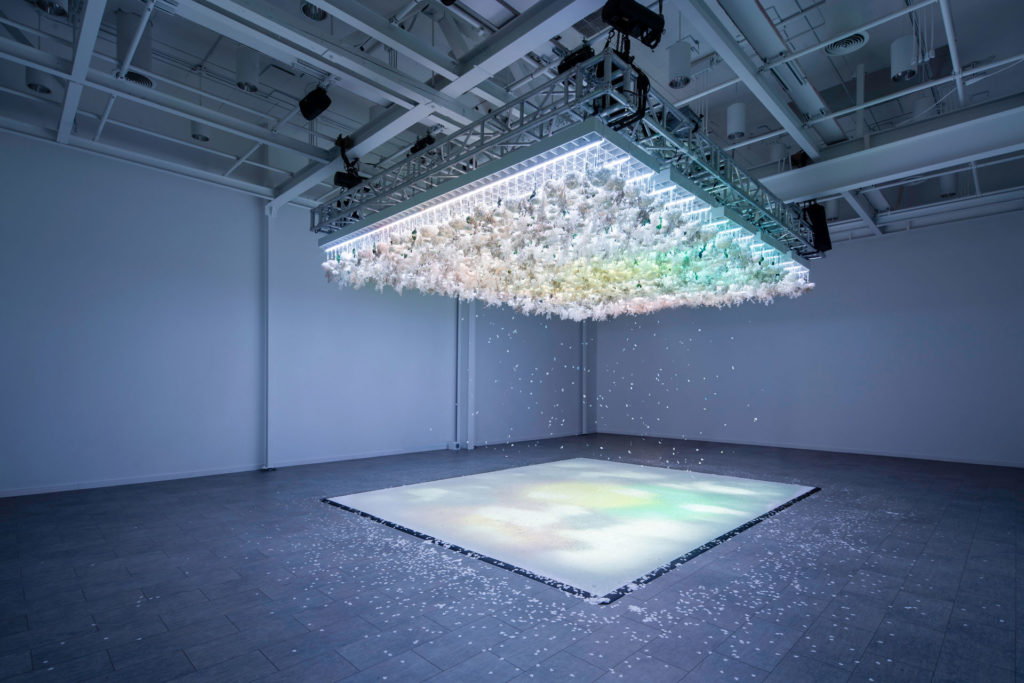 The Art of Bloom - A multi-sensory exhibition that focuses on the symbiotic relationship between humans and nature