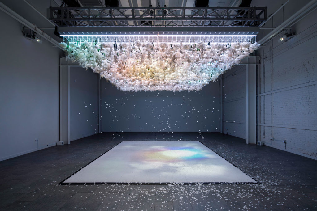 The Art of Bloom - A multi-sensory exhibition that focuses on the symbiotic relationship between humans and nature