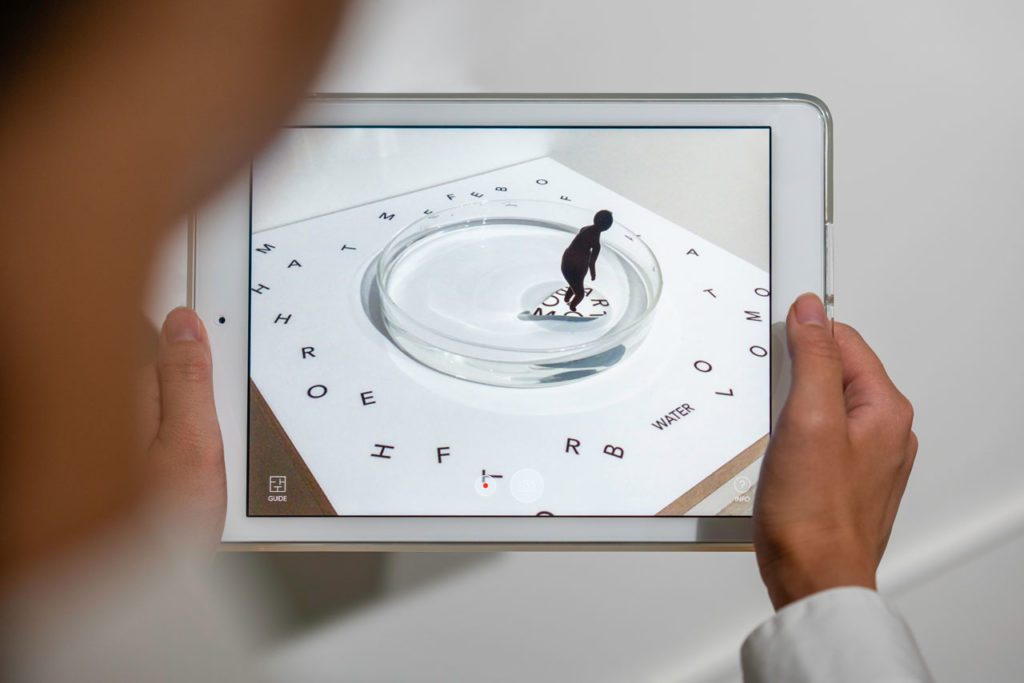 The Art of Bloom - A multi-sensory exhibition that focuses on the symbiotic relationship between humans and nature