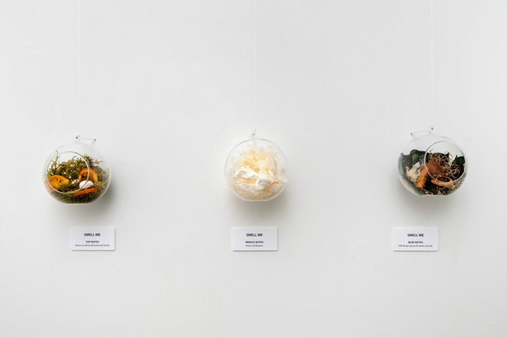 The Art of Bloom - A multi-sensory exhibition that focuses on the symbiotic relationship between humans and nature