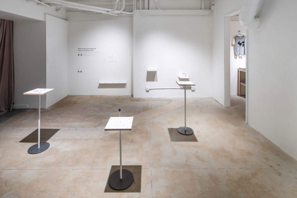 The Art of Bloom - A multi-sensory exhibition that focuses on the symbiotic relationship between humans and nature