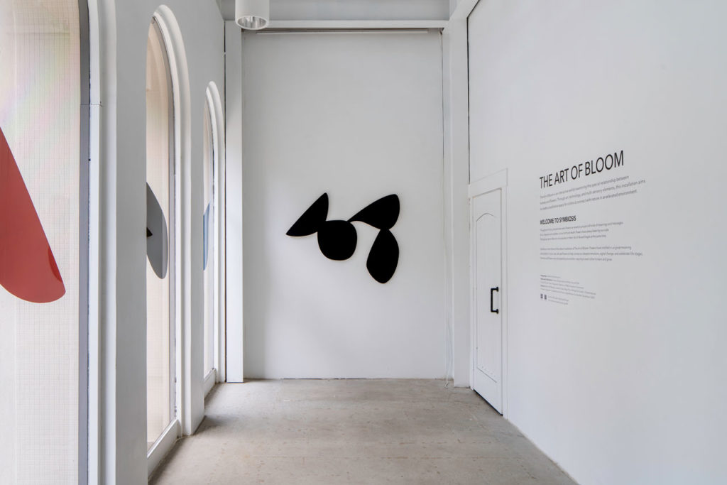 The Art of Bloom - A multi-sensory exhibition that focuses on the symbiotic relationship between humans and nature