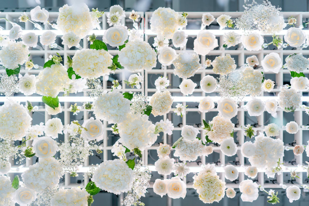 The Art of Bloom - A multi-sensory exhibition that focuses on the symbiotic relationship between humans and nature