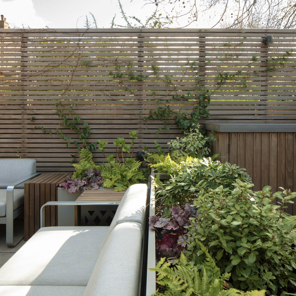 Muse House by Alexander Martin Architects