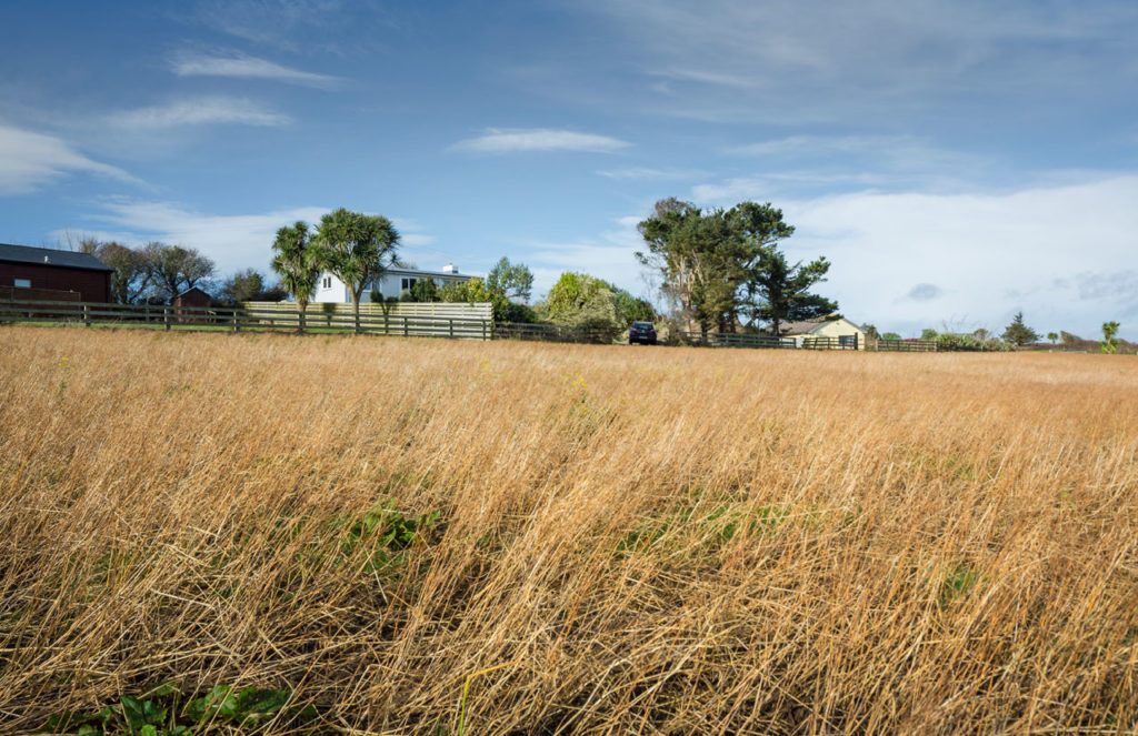 Riverchapel by Robert Bourke Architects