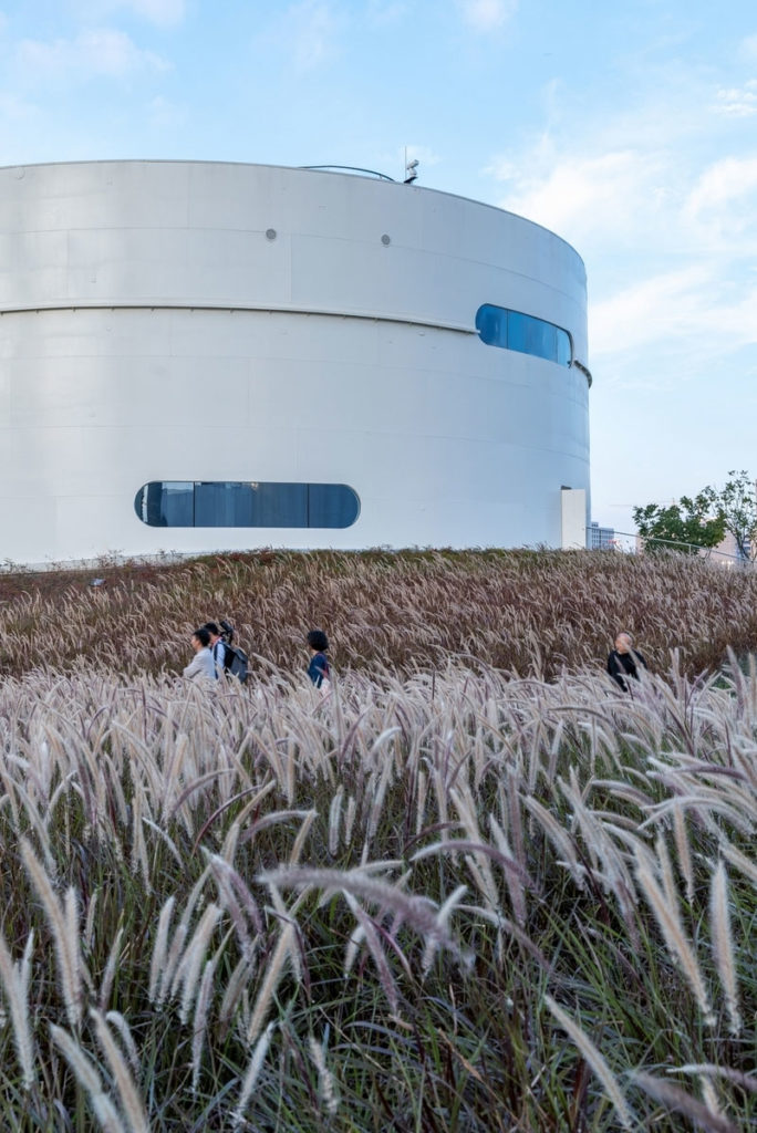 Undulating Park above the Super-surface