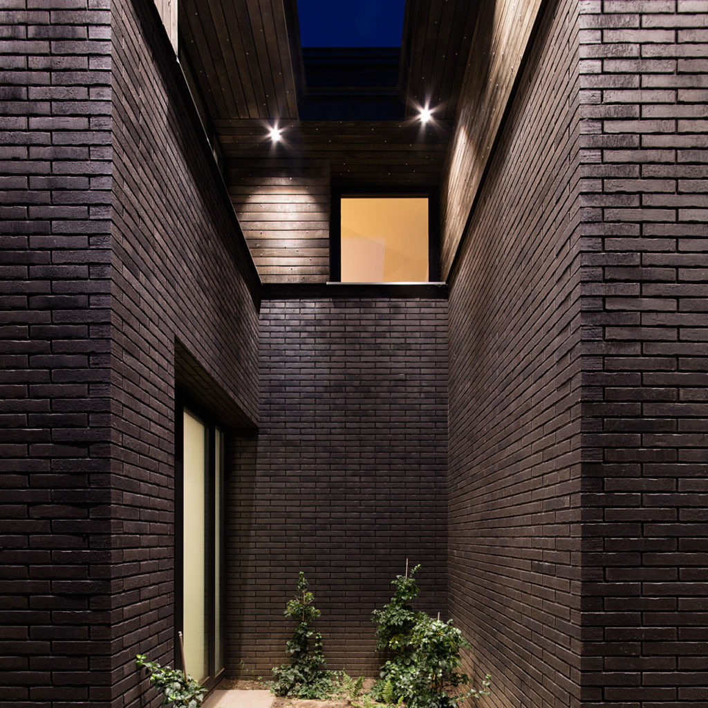 Villa Black by NAPUR Architect