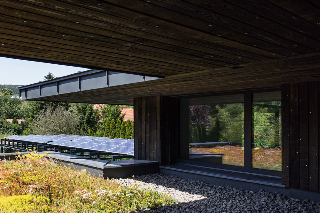 Villa Black by NAPUR Architect