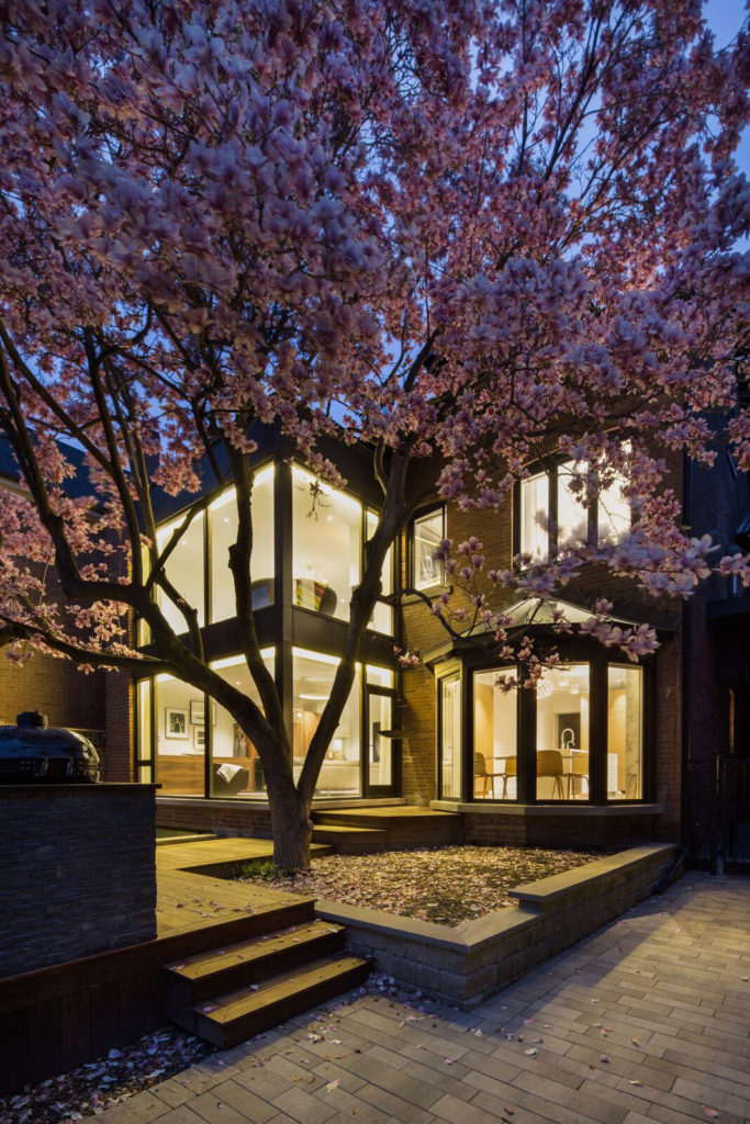 Contemporary rear addition, Magnolia house