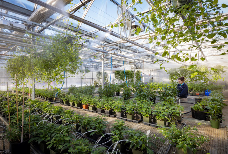  RAIC and the National Trust for Canada Announce 2020 Prix du XXe siècle Recipients 