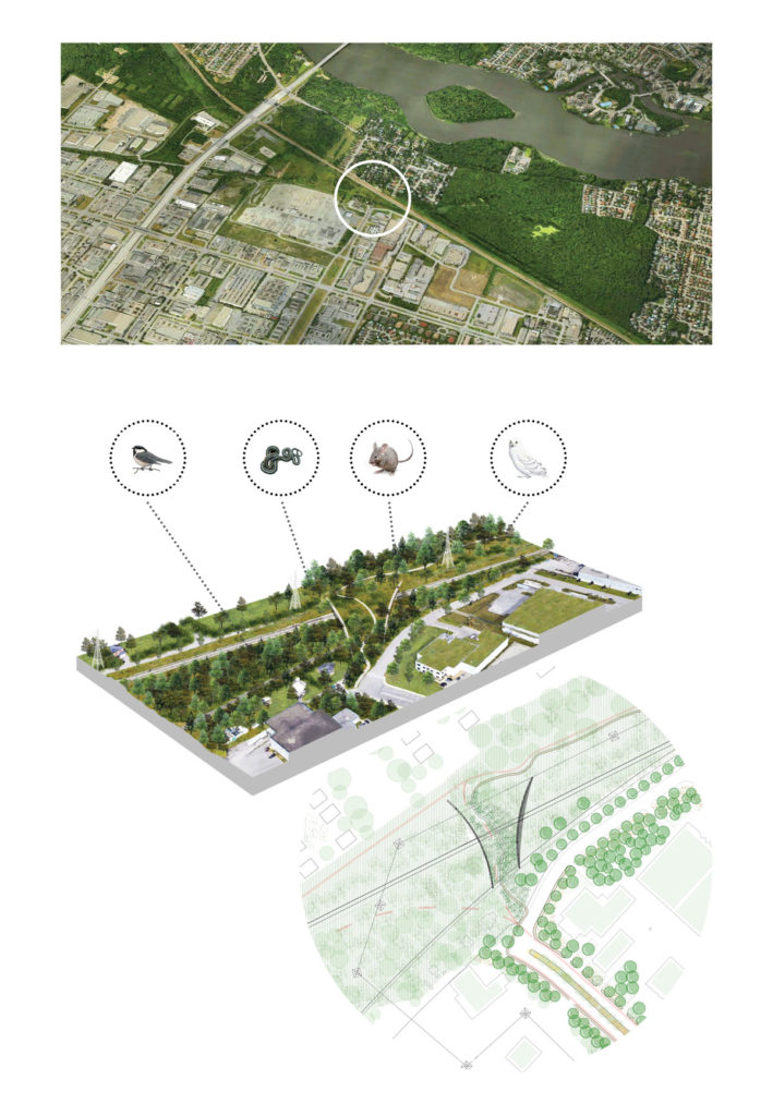 Schematic concept and site plan, Thimens Boulevard Overpass