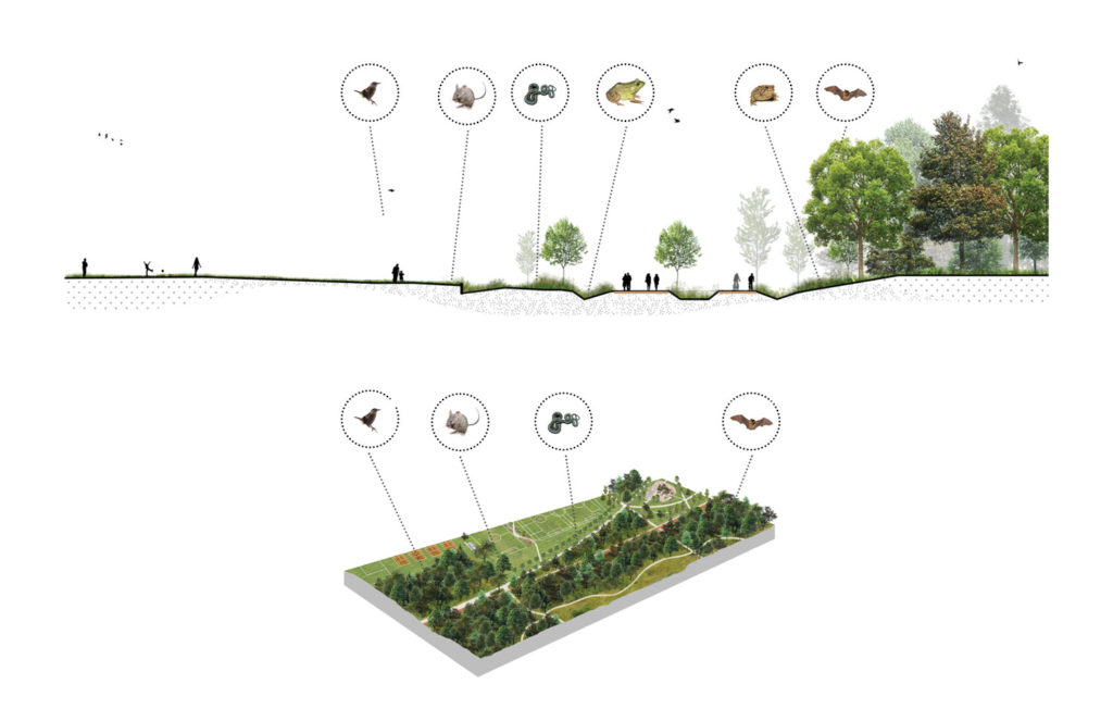 Philippe-Laheurte Park_Ecological Link, section and schematic concept