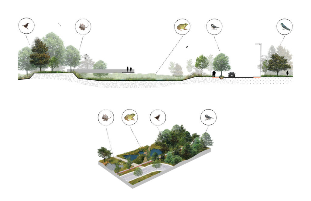 Section and schematic concept, Philippe-Laheurte Park 