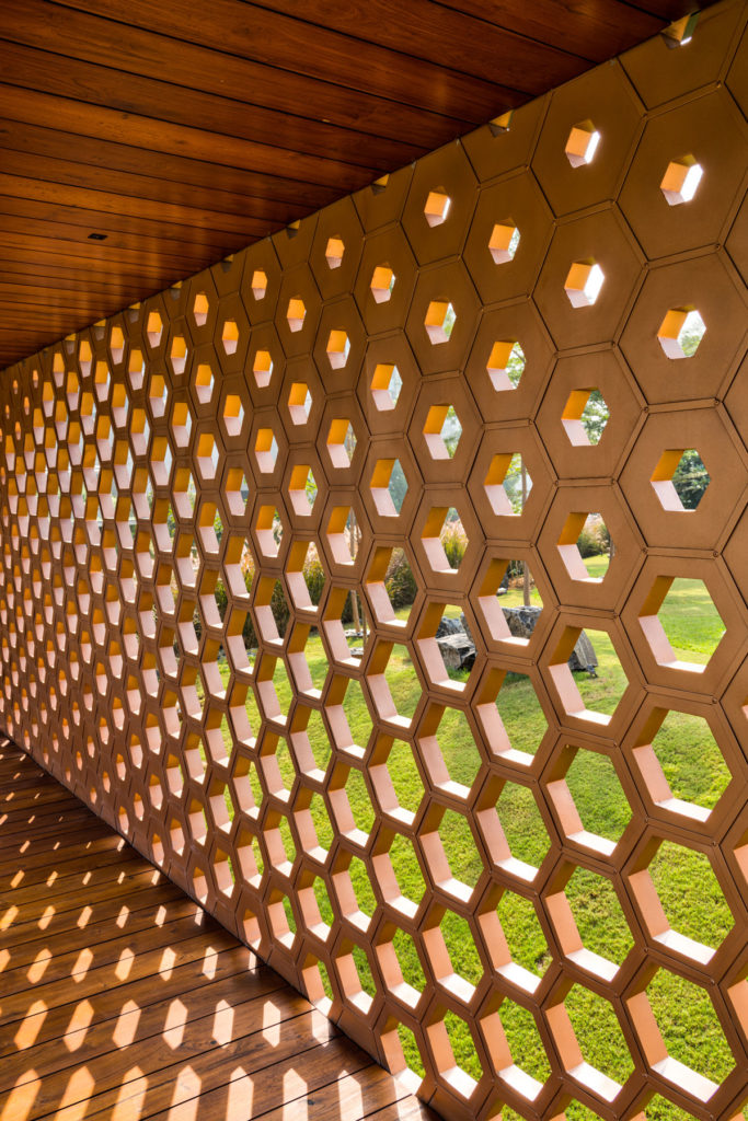 Hive is an intelligent, adaptable and sustainable family home in India