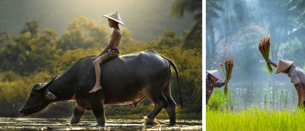 Call for Submission: Cambodia Remote Hideout Huts