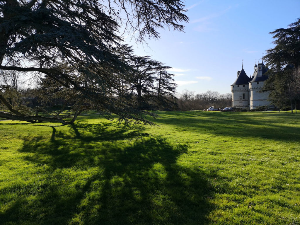 Paysage de Feu, Vazio S/A’s installation made with trees from the Cerrado