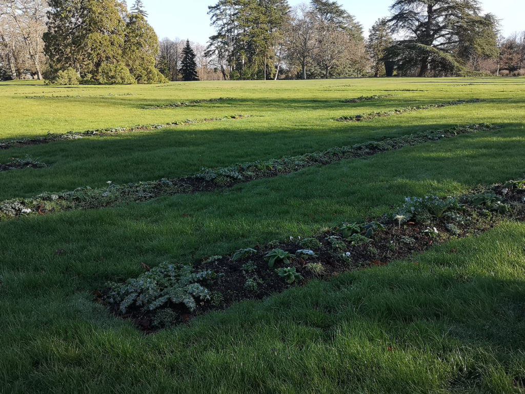Paysage de Feu, Vazio S/A’s installation made with trees from the Cerrado