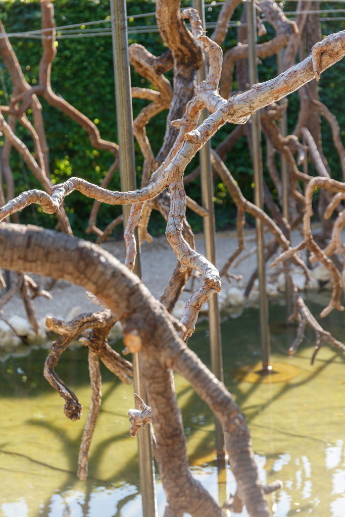Paysage de Feu, Vazio S/A’s installation made with trees from the Cerrado