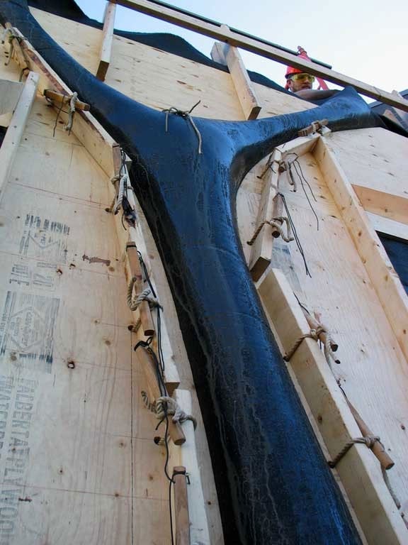 Branching Column Prototype