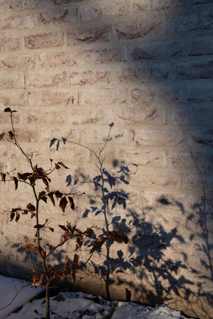 Pilestredet 77-79 by Reiulf Ramstad Arkitekter