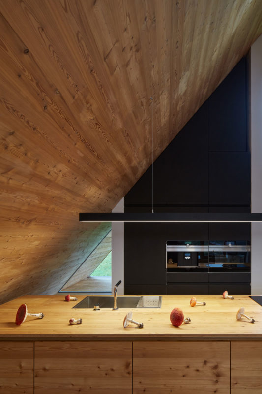 Weekend House in Beskydy by Pavel Míček Architects