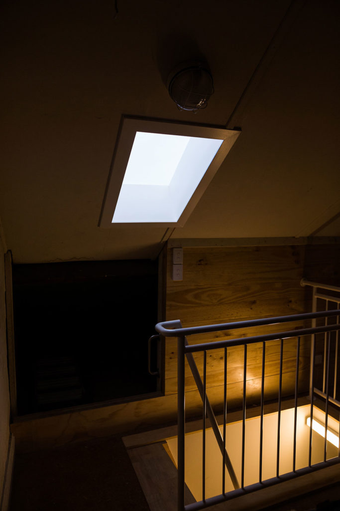 Attic Skylight