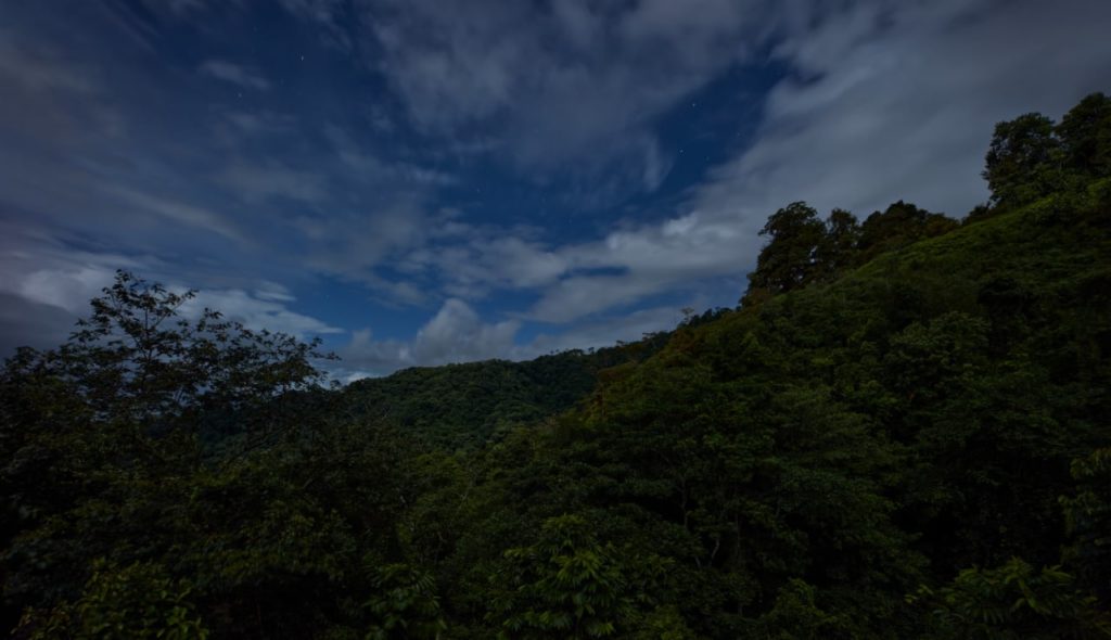 COCO Art Villas by ARCHWERK