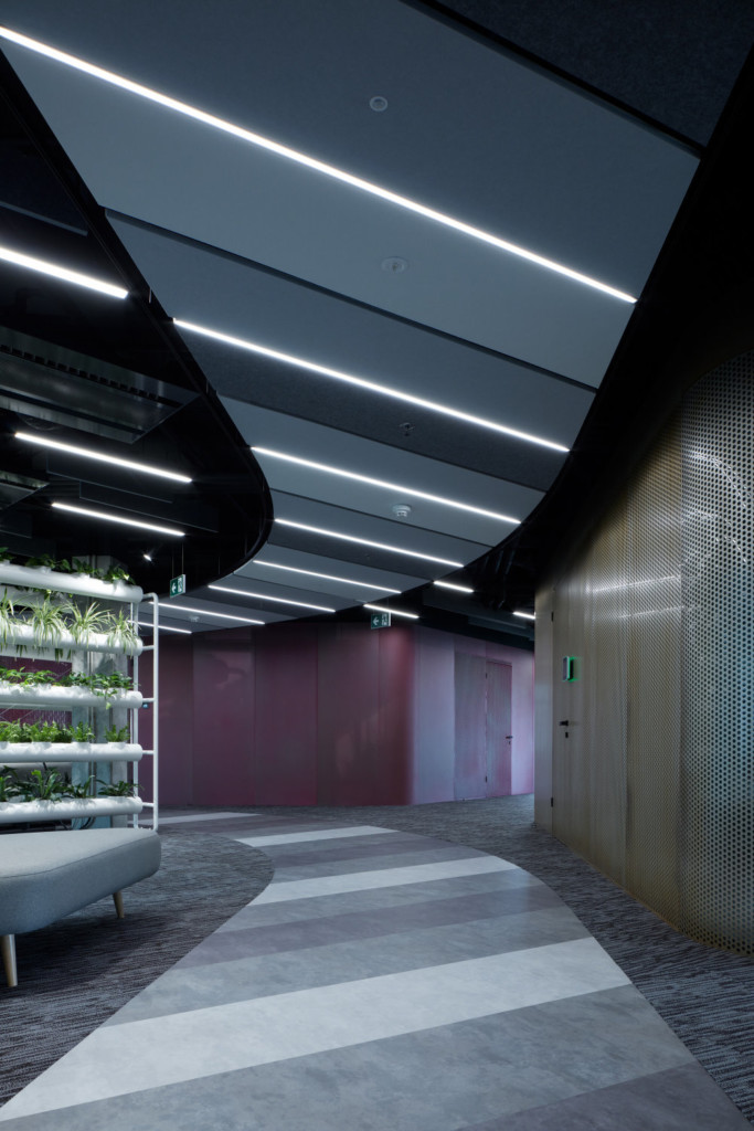 LIVESPORT – offices like a machine driven by pilots