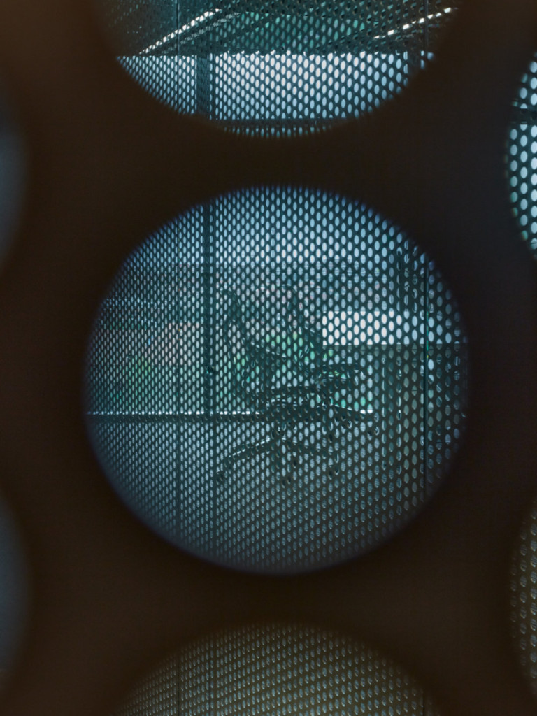 LIVESPORT – offices like a machine driven by pilots