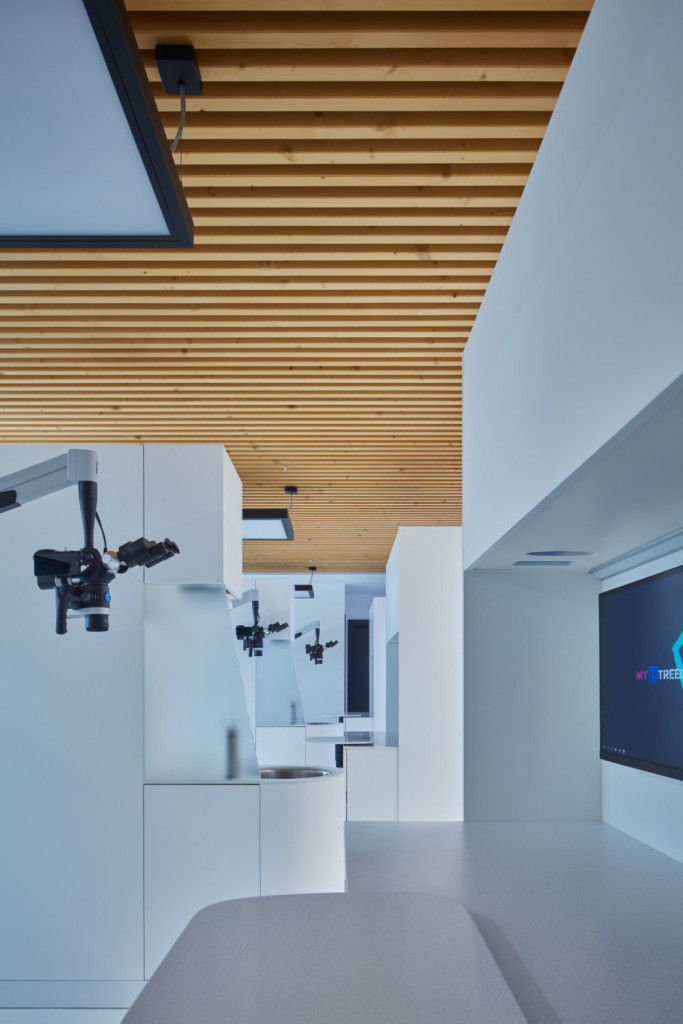 Dental Clinic myTREEDK in Opava