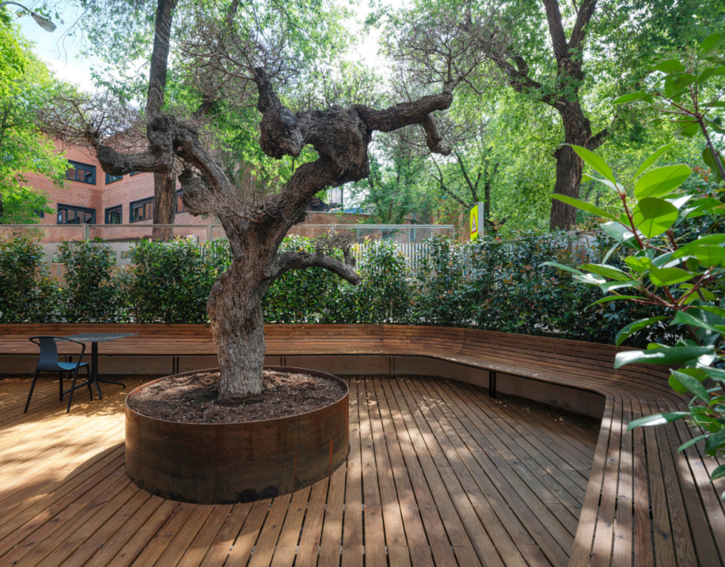 Mediabrands Headquarters by Ruiz Pardo – Nebreda