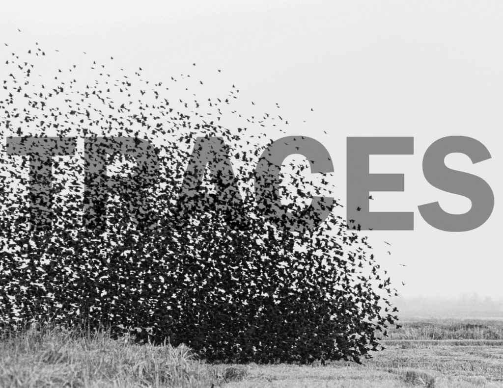 TRACES art installation situated on the Canada Pavilion site at Expo 2020 Duba